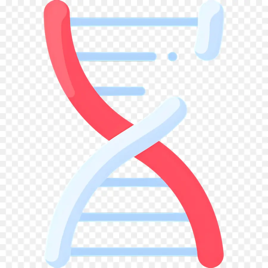 Mutation De L'adn，Adn PNG