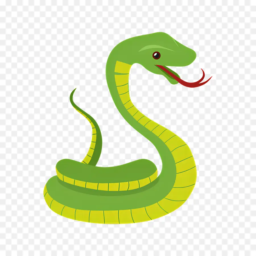 Serpent，Serpent Vert PNG