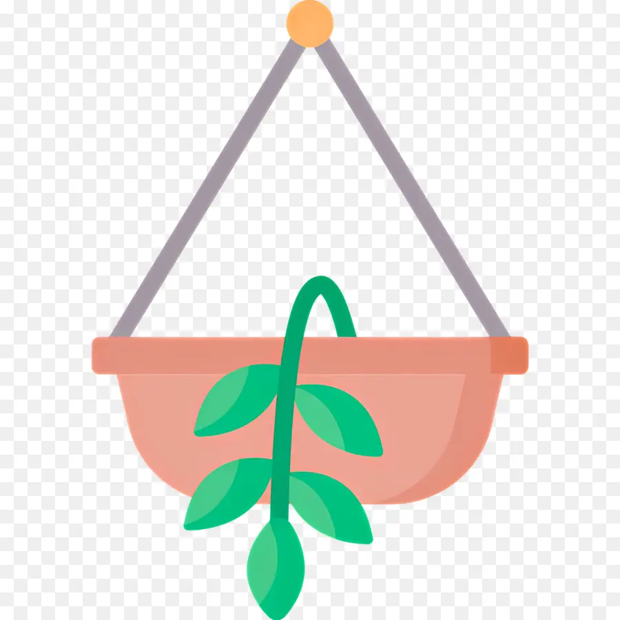 Plantes Suspendues，Plante Suspendue PNG