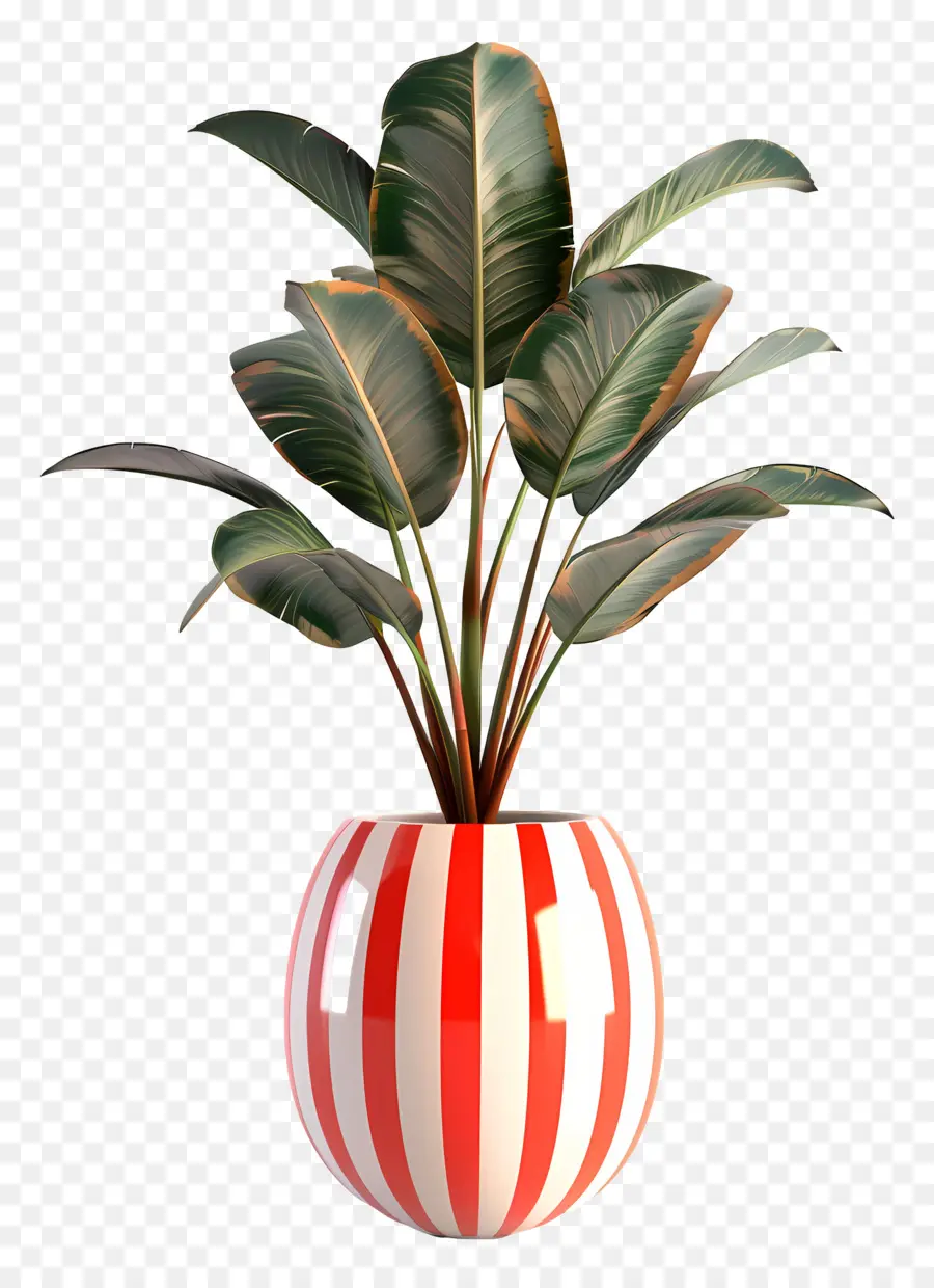 Plante Tropicale En Pot，Usine PNG