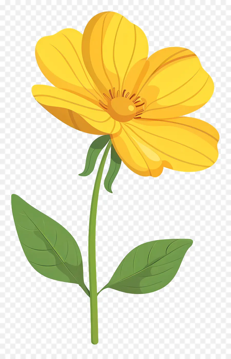 Fleur Jaune，Tige PNG