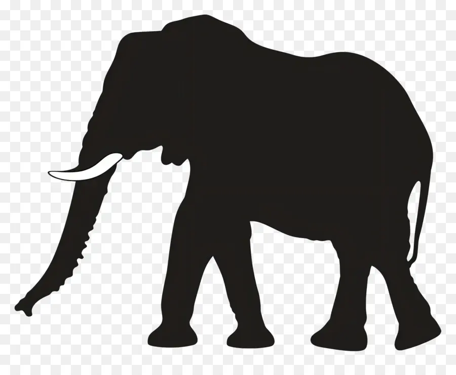 Silhouette D'éléphant，Silhouette D'éléphant Noir PNG