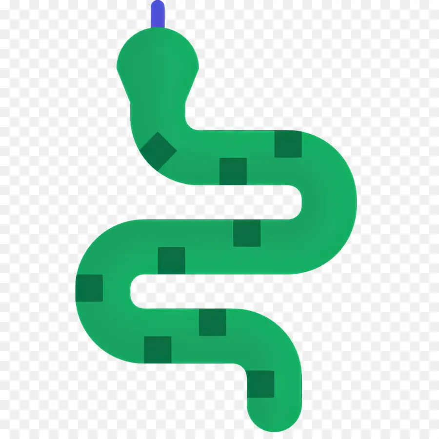 Serpent，Reptile PNG