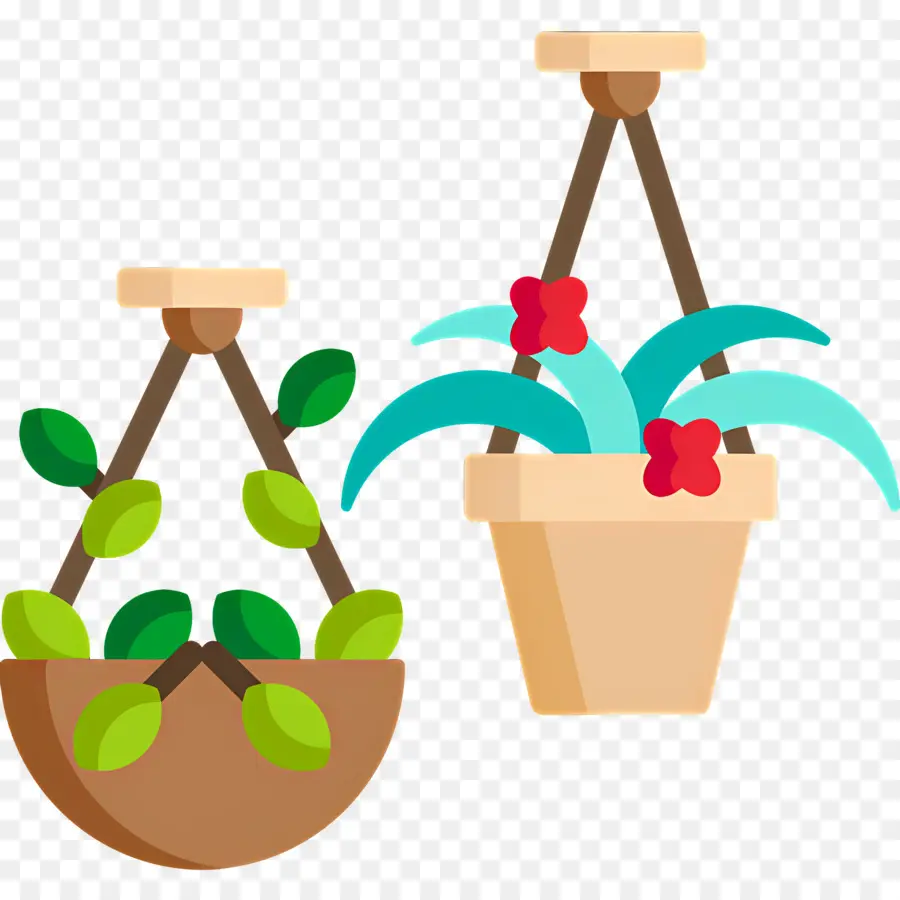 Plantes Suspendues，Pots PNG