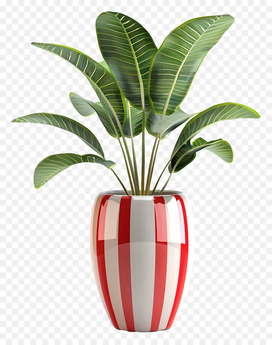 Plante Tropicale En Pot，Plante En Pot PNG