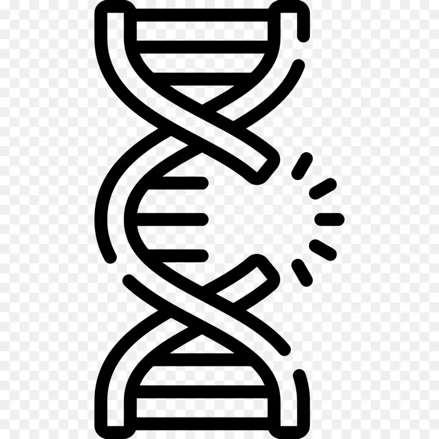 Mutation De L'adn，Hélice D'adn PNG