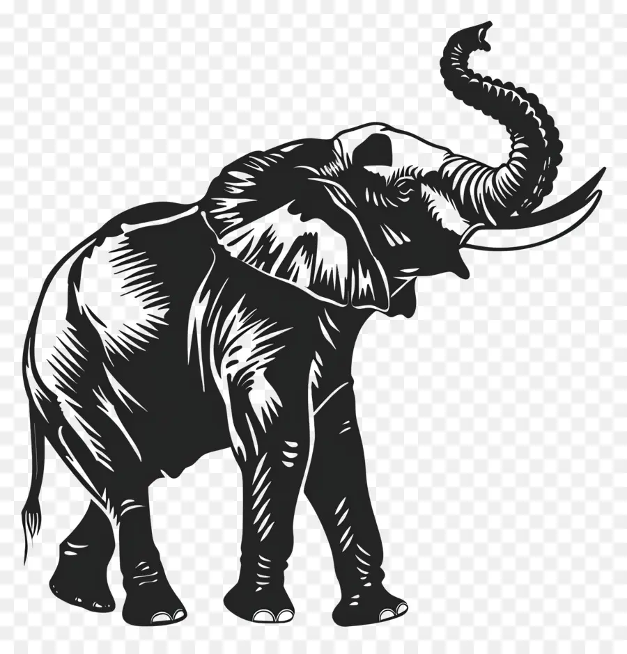 Trompe D'éléphant Jusqu'à La Silhouette，Silhouette D'éléphant PNG