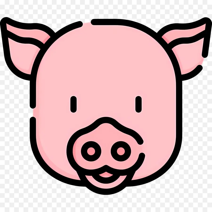 Visage De Cochon，Cochon PNG