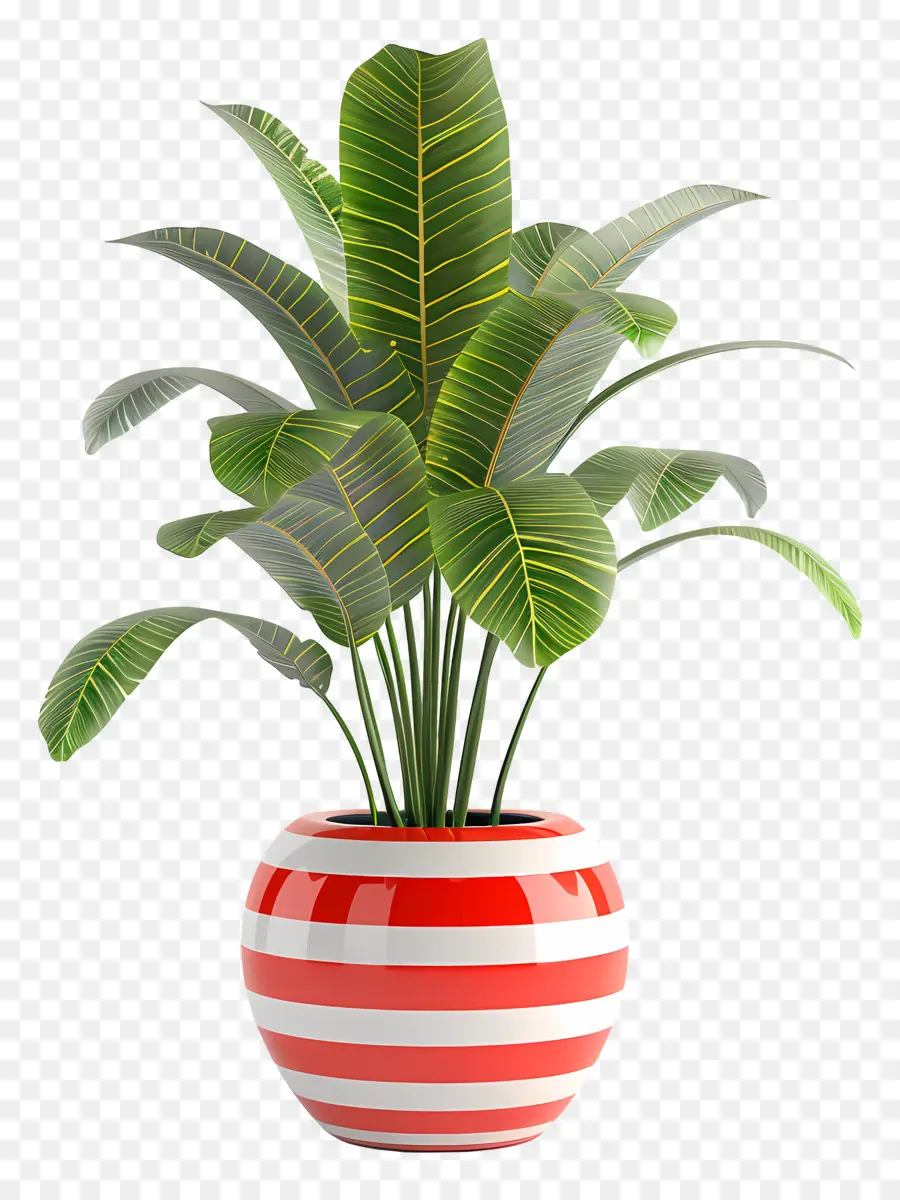 Plante Tropicale En Pot，Plante En Pot PNG