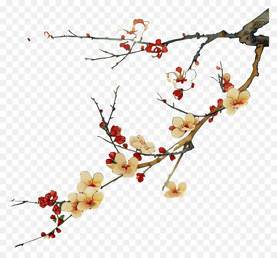 Branche De Fleurs，Fleurs De Cerisier PNG