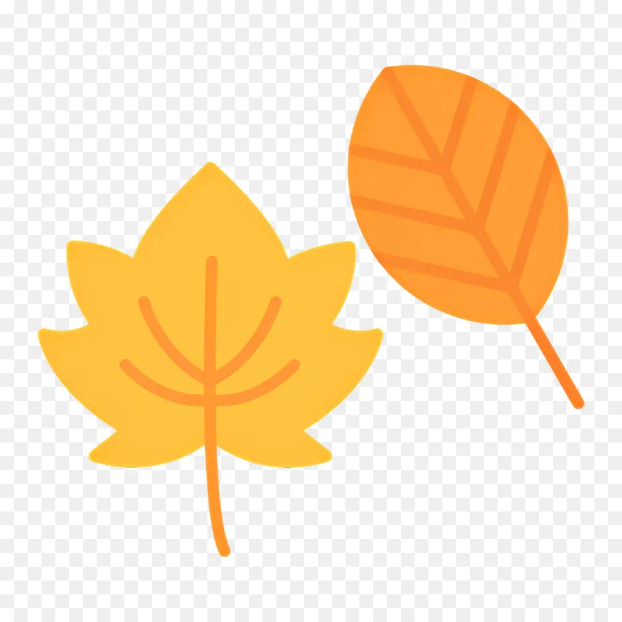 Feuilles D'automne，Automne PNG