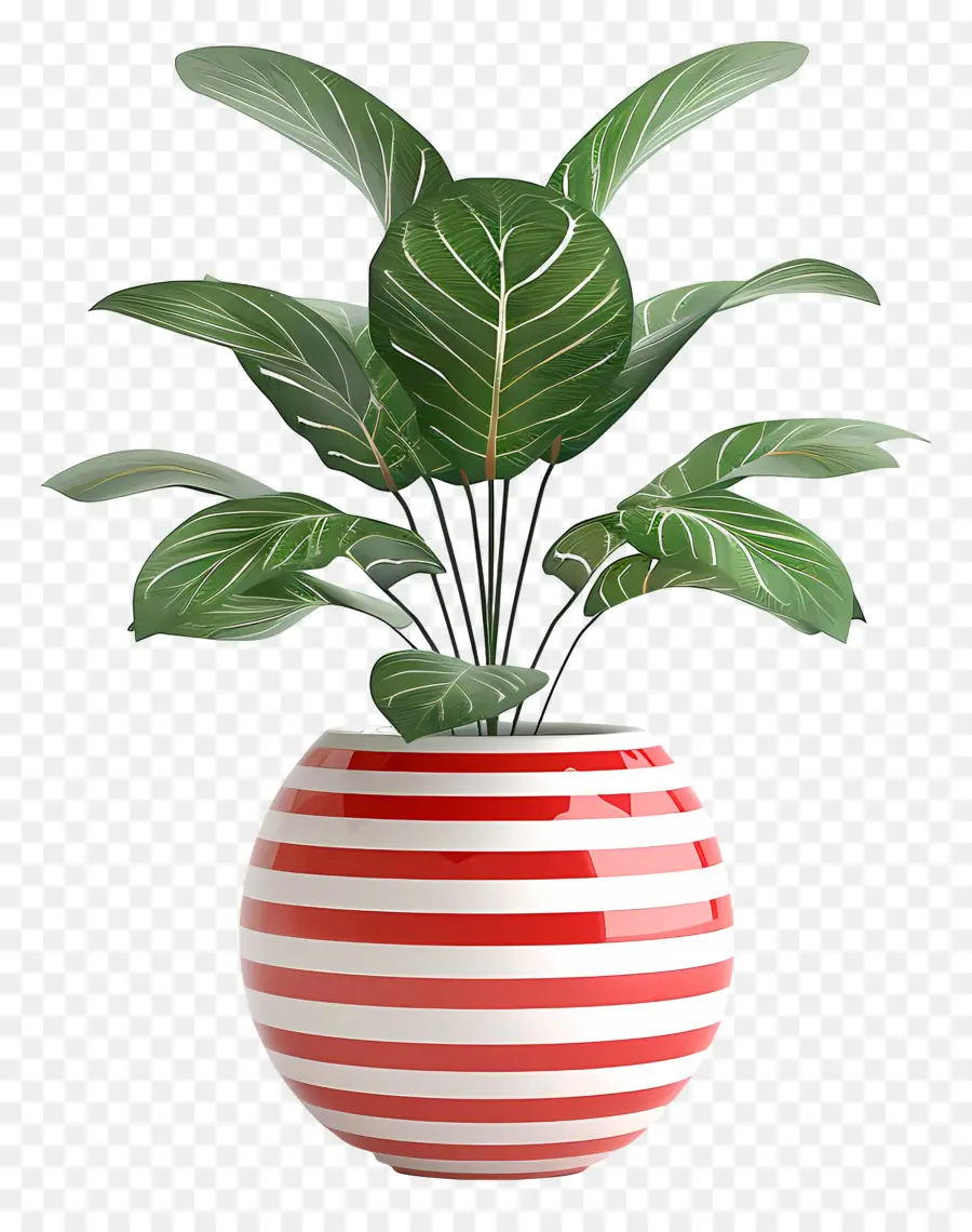 Plante Tropicale En Pot，Usine PNG