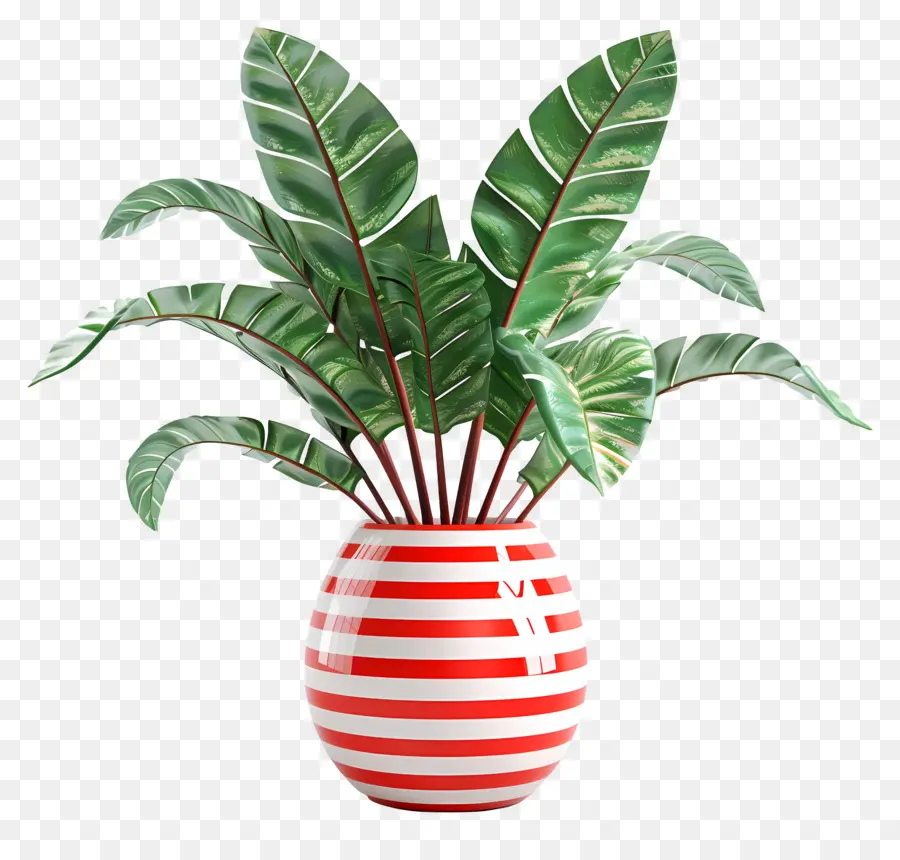 Plante Tropicale En Pot，Plante En Pot PNG