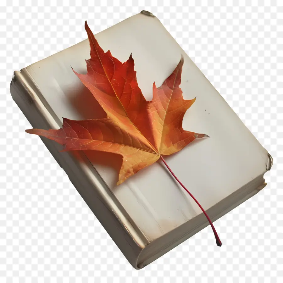 Feuille D'automne Sur Le Livre，Réservez Avec Feuille PNG