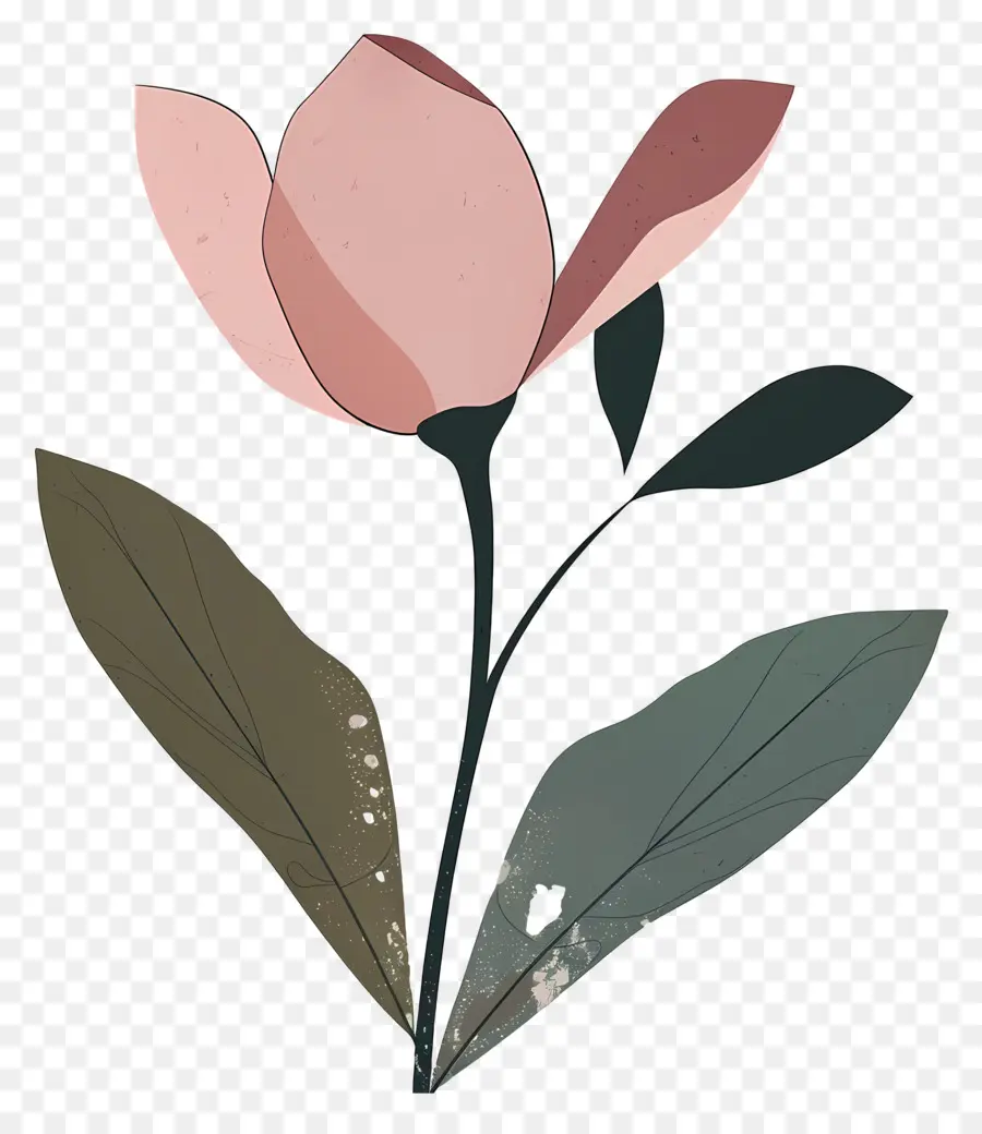 Fleur Rose，Tulipe Rouge PNG