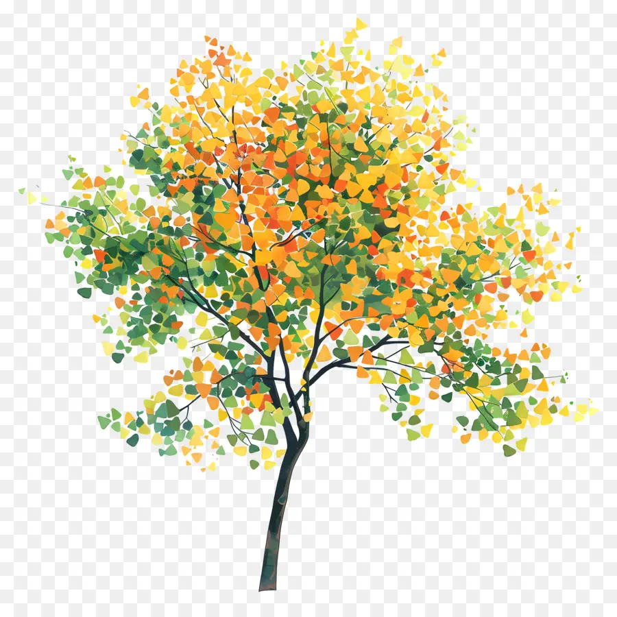 Feuillage Des Arbres，Arbre Coloré PNG