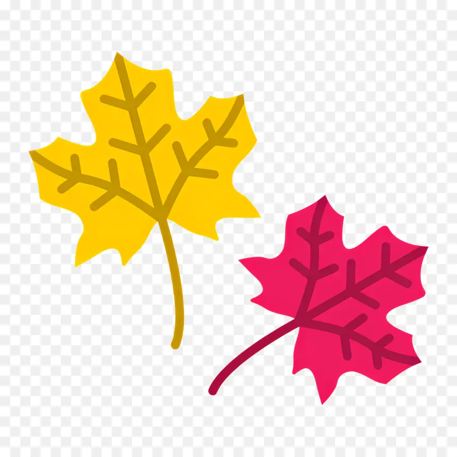 Feuilles D'automne，Automne PNG