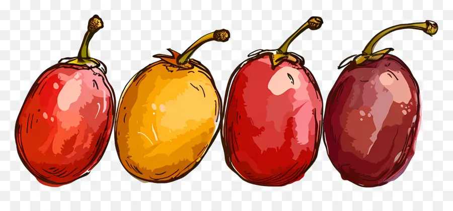 Dattes Fruits，Fruits PNG