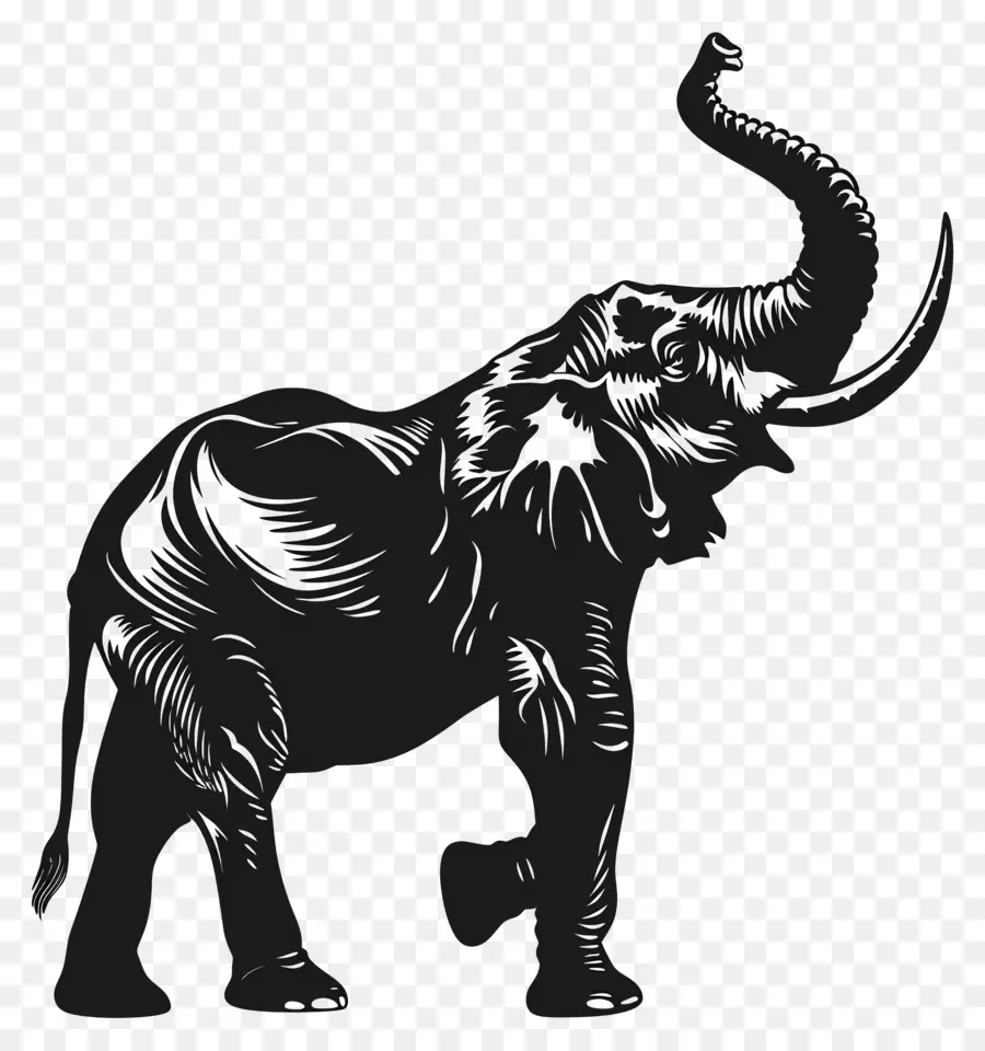 Trompe D'éléphant Jusqu'à La Silhouette，Silhouette D'éléphant PNG