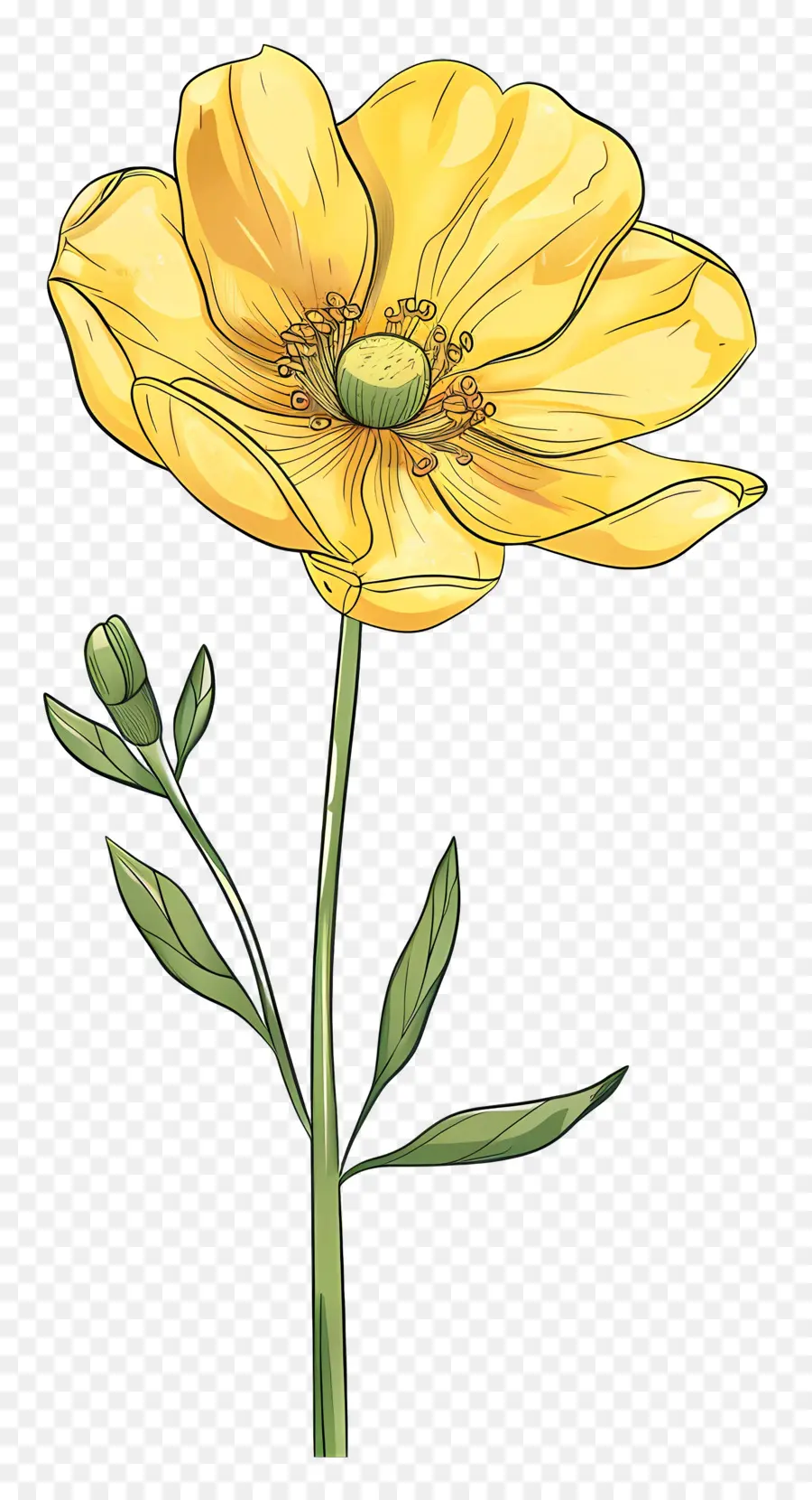 Fleur Jaune，Tige PNG