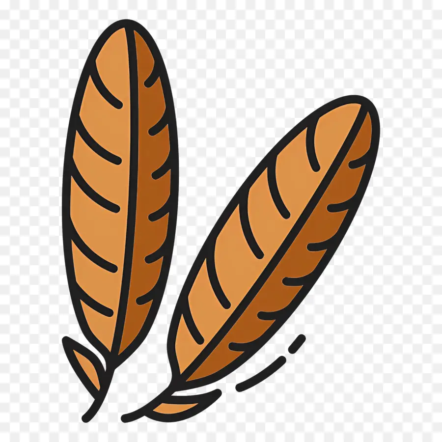 Plume，Plumes Brunes PNG