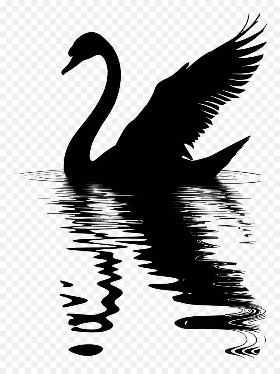 Silhouette De Cygne，Cygne Noir PNG