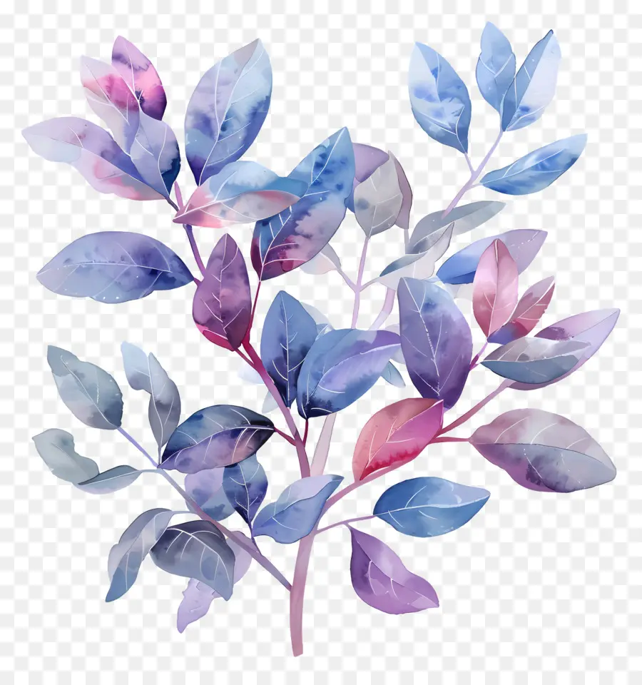 Feuillage Aquarelle，Feuilles D'aquarelle PNG