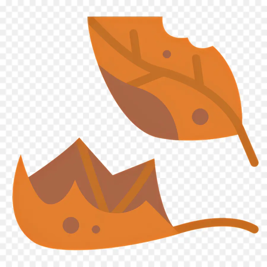 Feuilles D'automne，Automne PNG