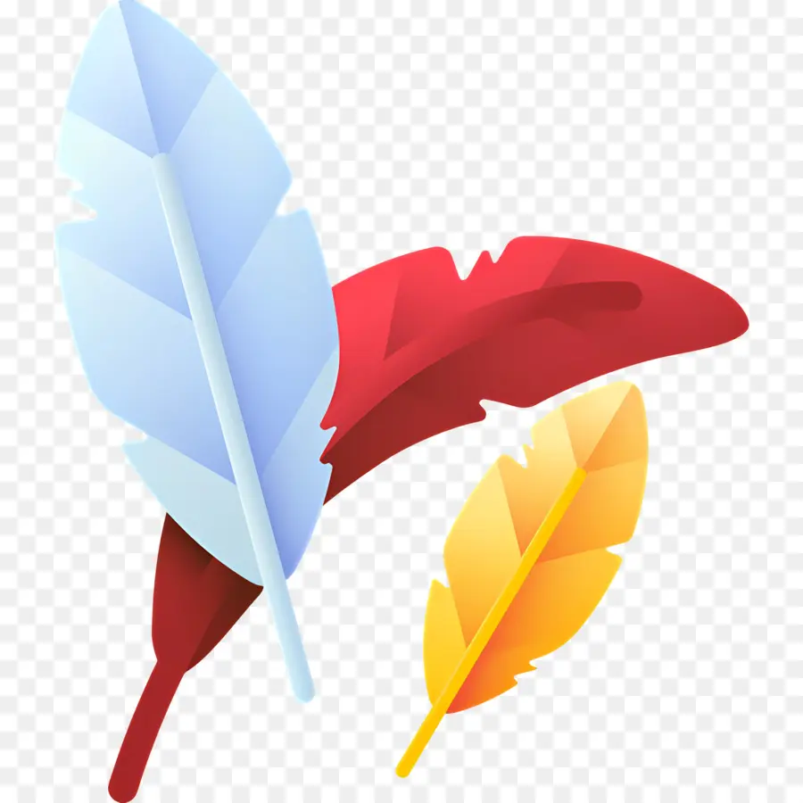 Plume，Plumes Colorées PNG