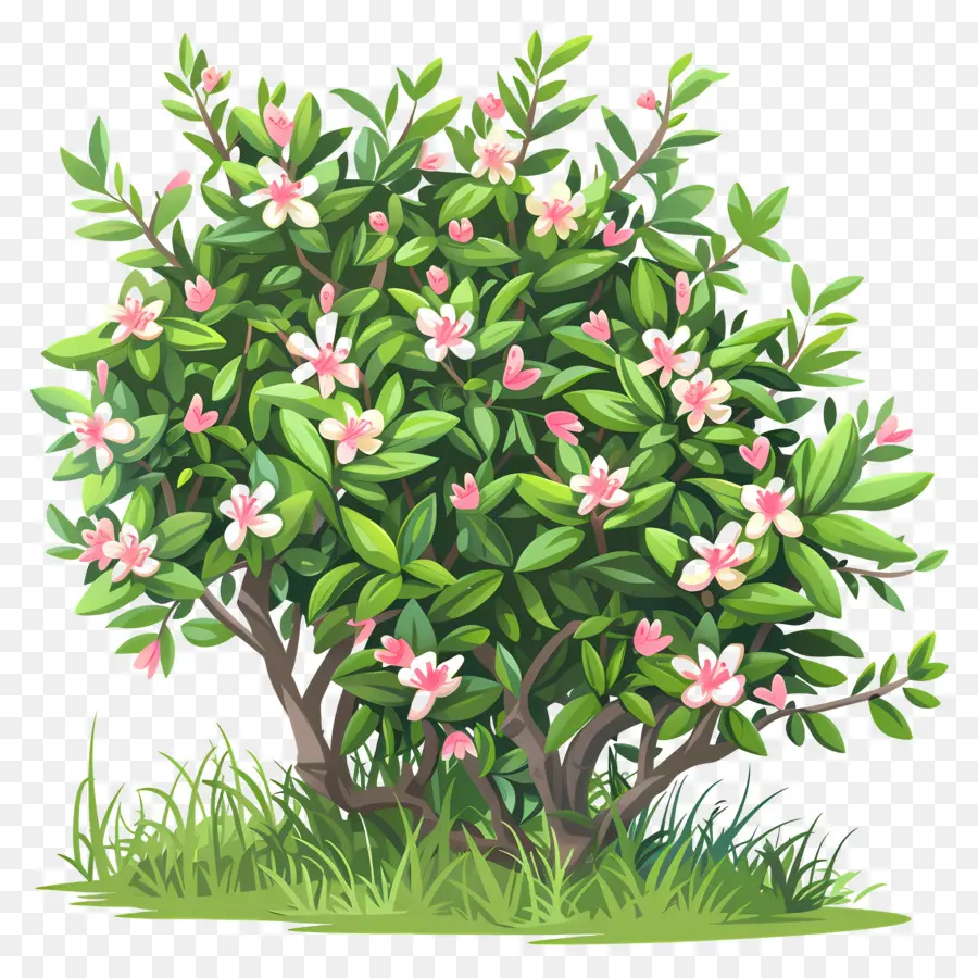 Buisson Avec Des Fleurs，Buisson à Fleurs PNG