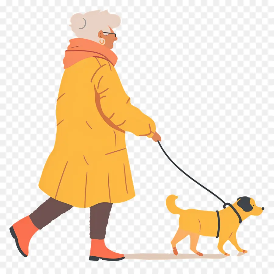 Vieille Femme Qui Promène Son Chien，Femme Qui Promène Son Chien PNG