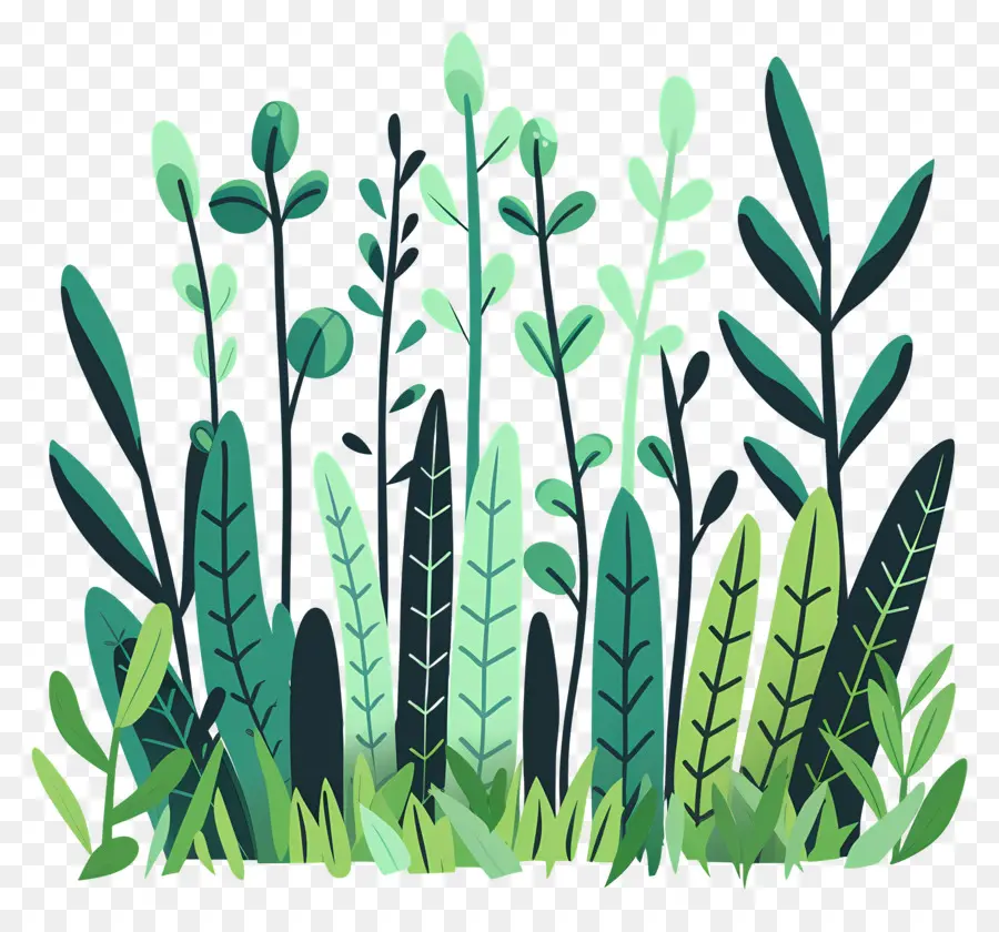 Forêt D'herbe，Plantes PNG