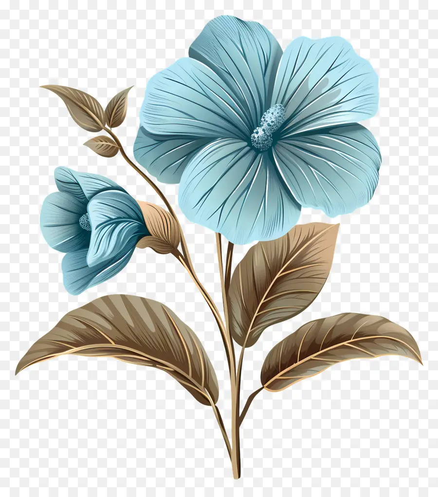 Fleur Bleue，Floraison PNG