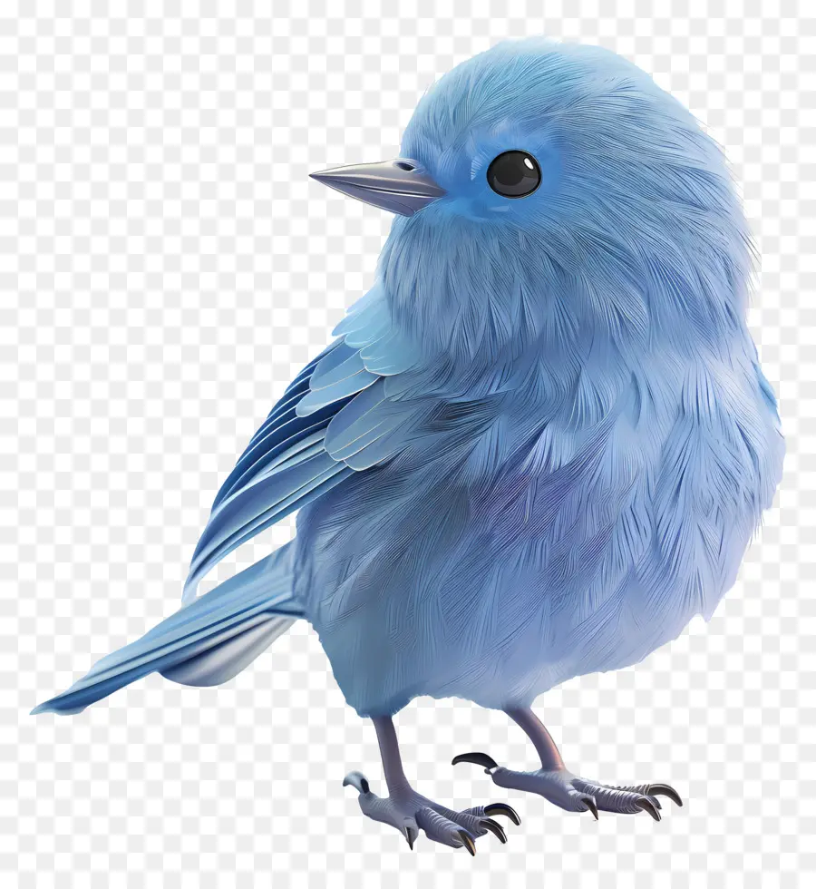 Oiseau Bleu，Plumes PNG