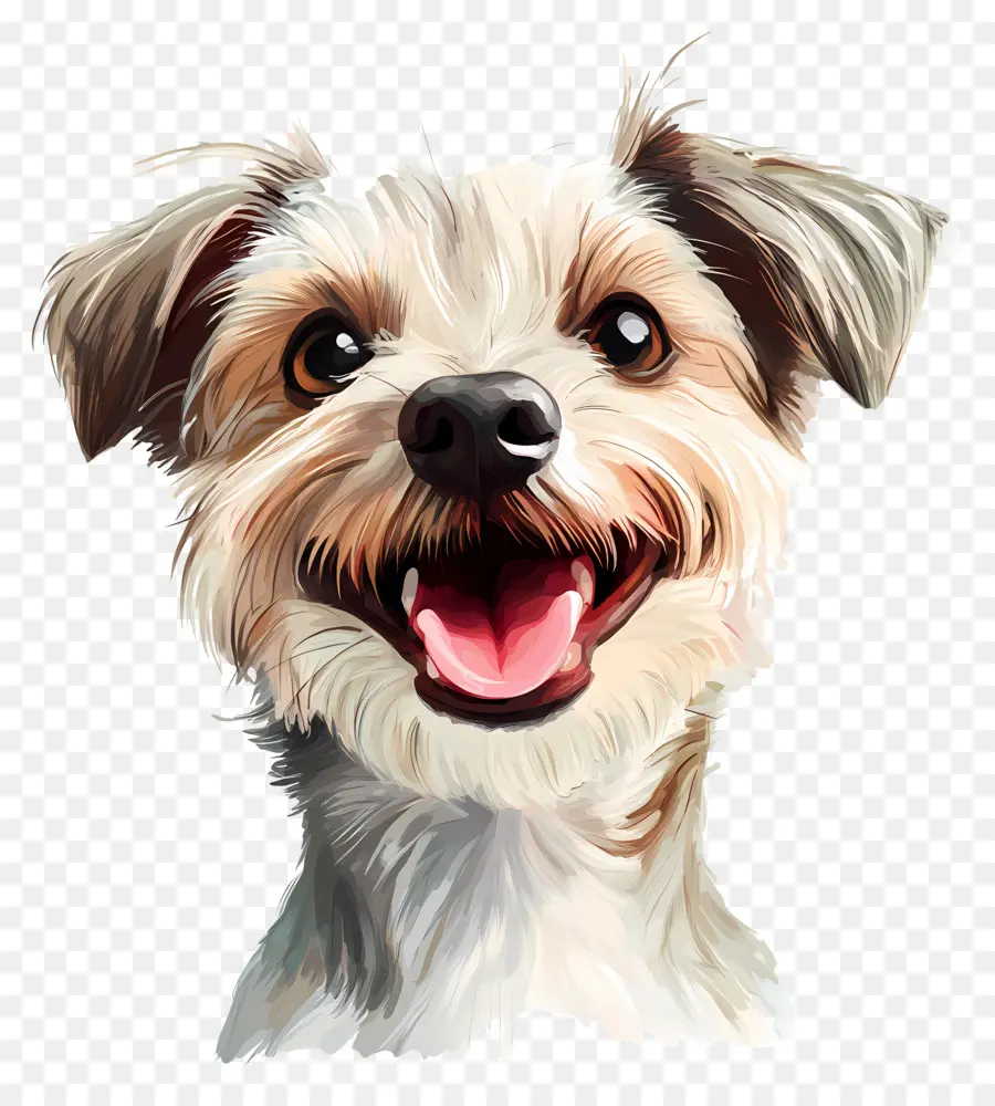 Heureux，Chien Noir Et Blanc PNG