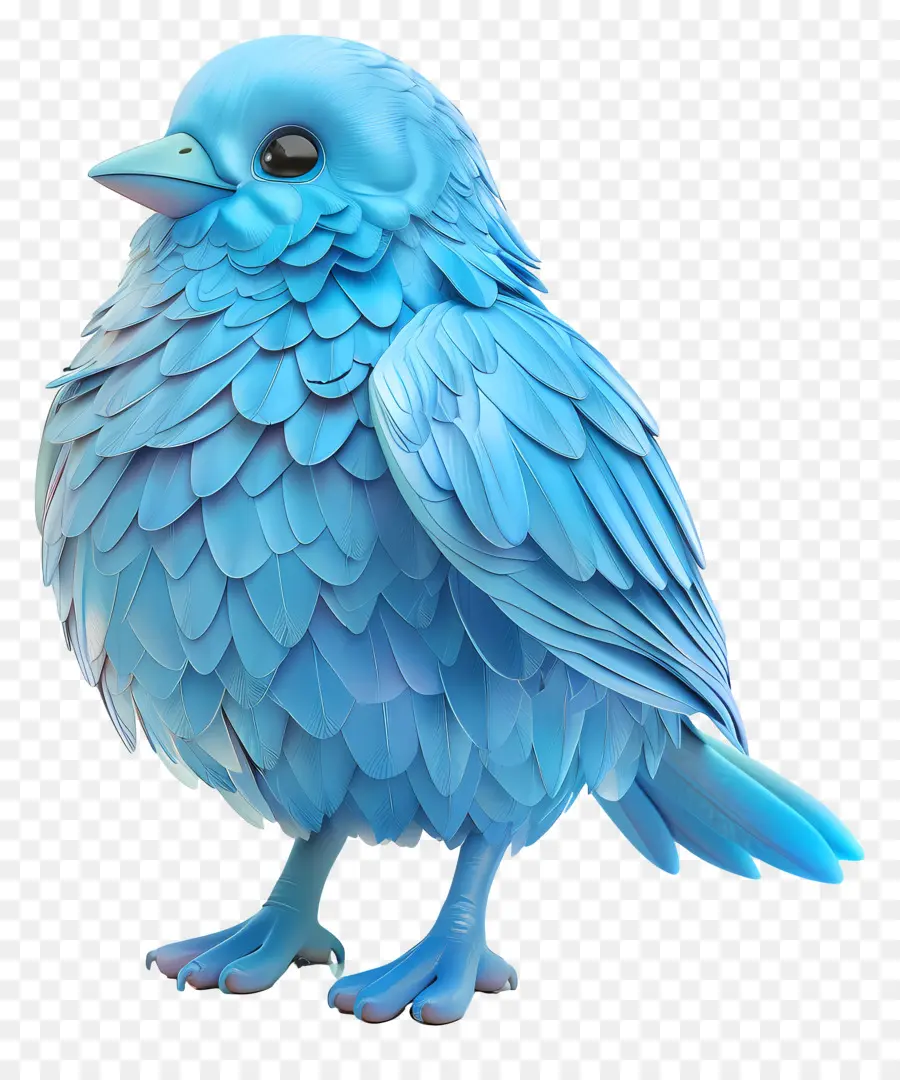 Oiseau Bleu，Plumes PNG