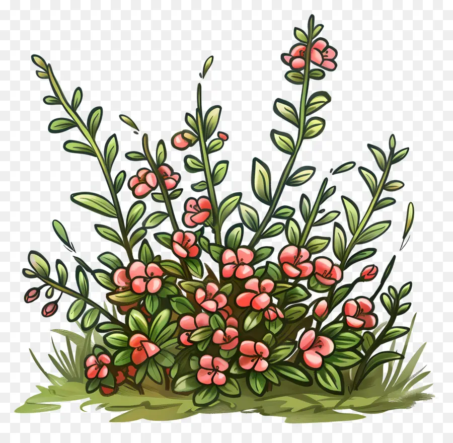 Buisson Avec Des Fleurs，Buisson De Fleurs PNG