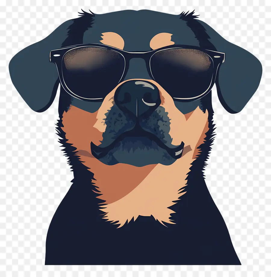 Lunettes De Soleil，Chien Avec Des Lunettes De Soleil PNG