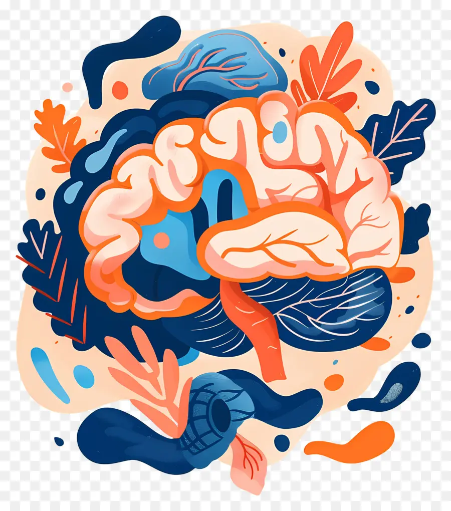 Gros Cerveau，Illustration Du Cerveau PNG