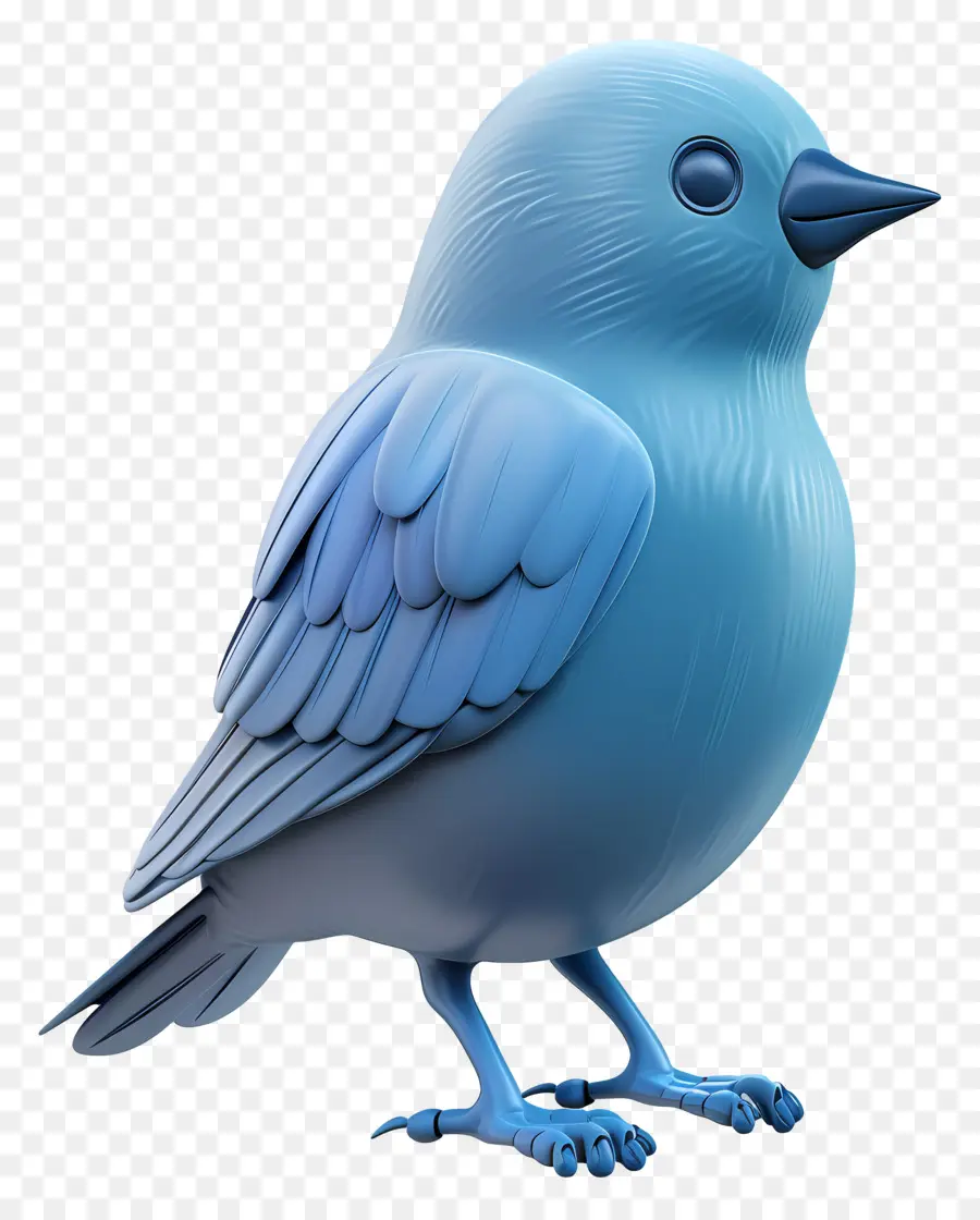 Oiseau Bleu，Plumes PNG