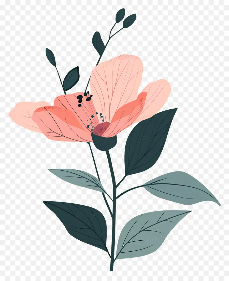 Fleur Rose，Feuilles PNG