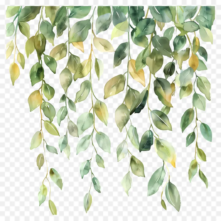 Feuillage Aquarelle，Feuilles Suspendues PNG