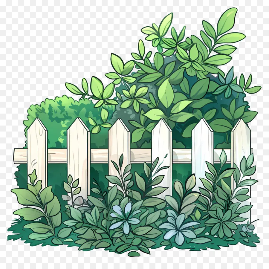 Haie De Jardin，Clôture De Jardin PNG