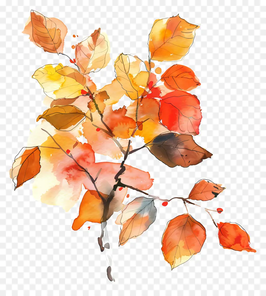 Feuillage Aquarelle，Feuilles D'automne PNG