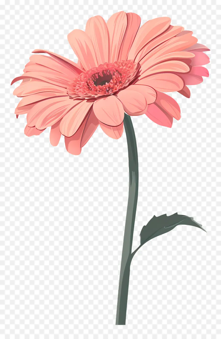 Gerbera Rose，Fleur Rose PNG