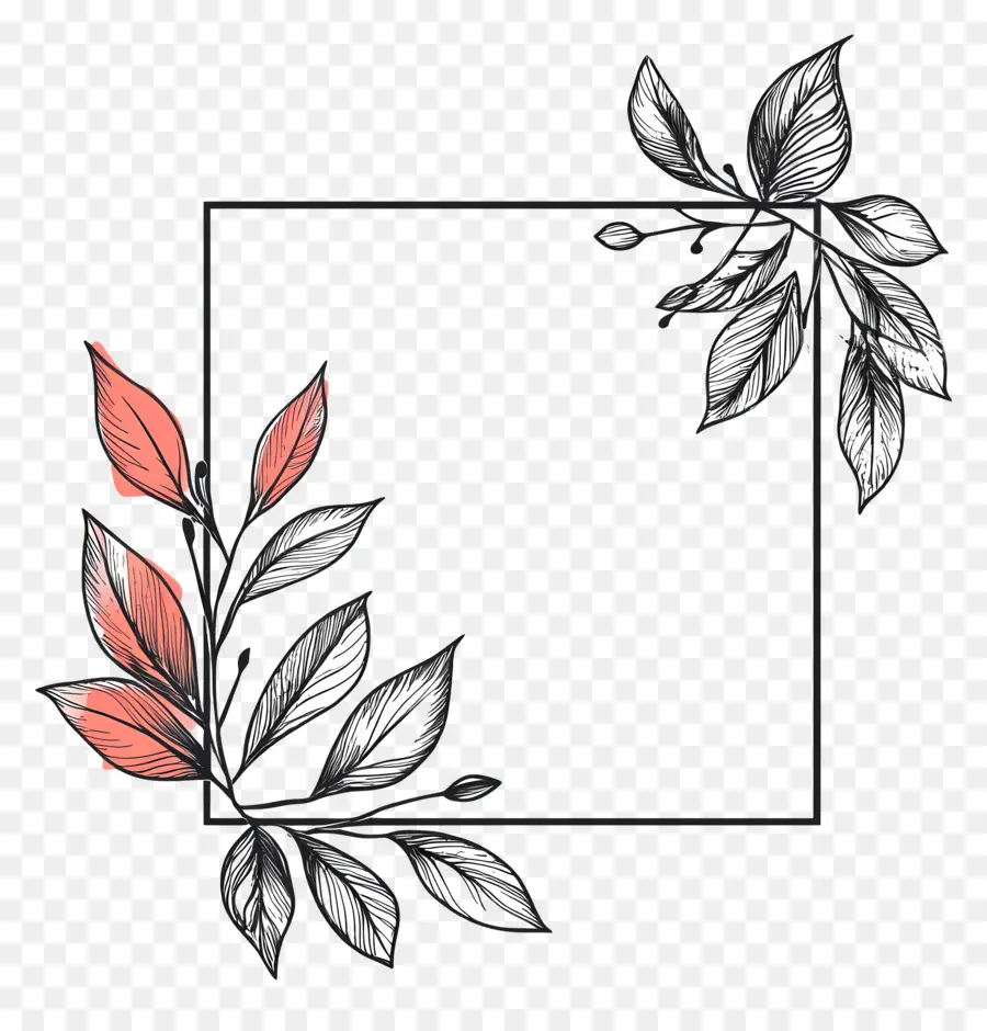 Cadre Simple Rectangle，Cadre Floral PNG