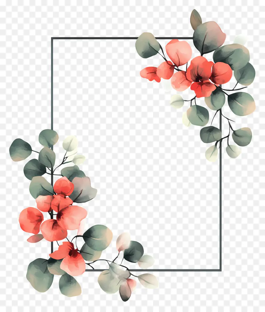 Cadre Simple Rectangle，Cadre Floral PNG