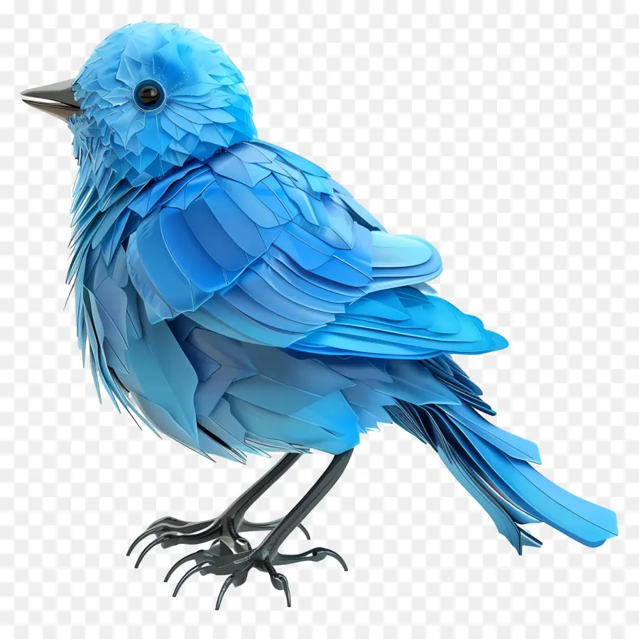 Oiseau Bleu，Plumes PNG