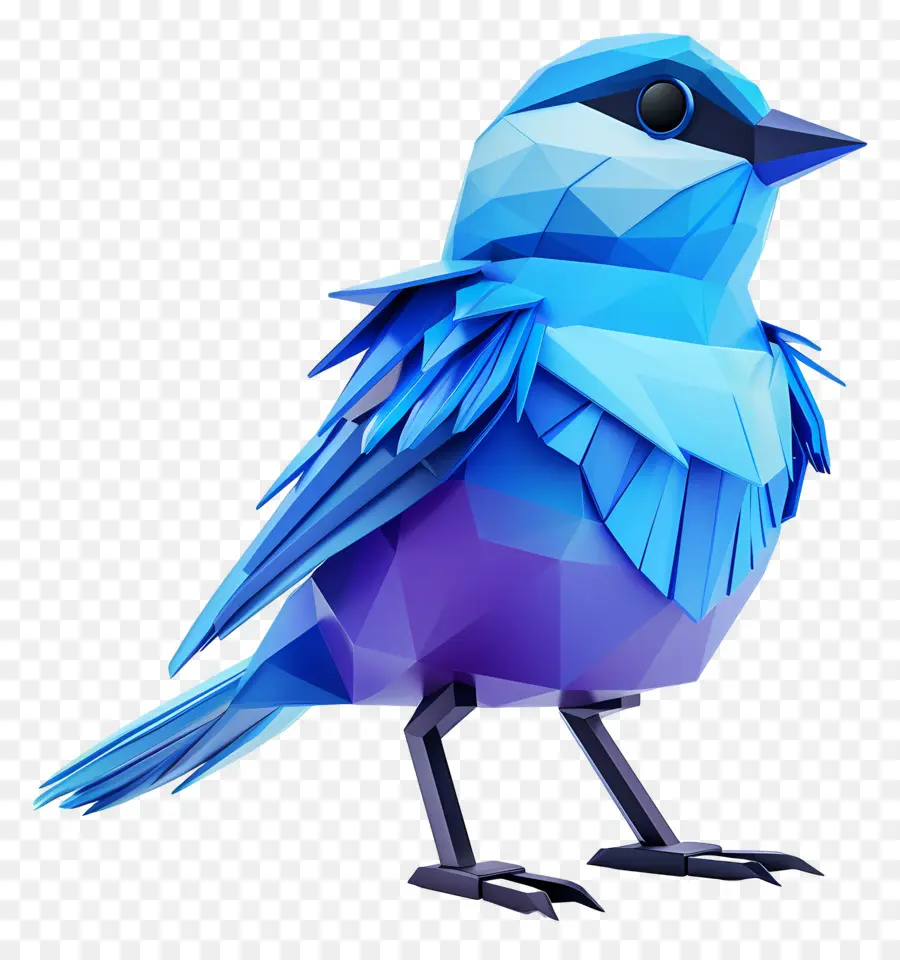 Oiseau Bleu，Plumes PNG