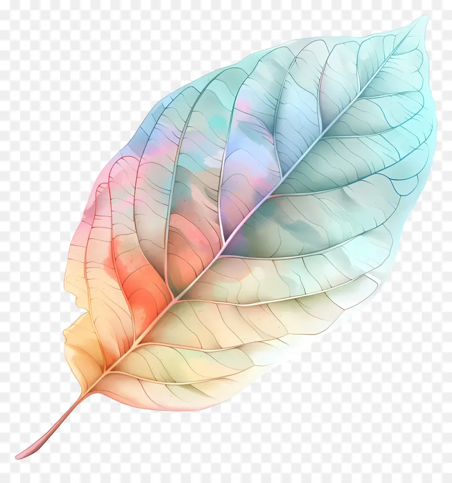 Feuille Pastel，Feuille PNG